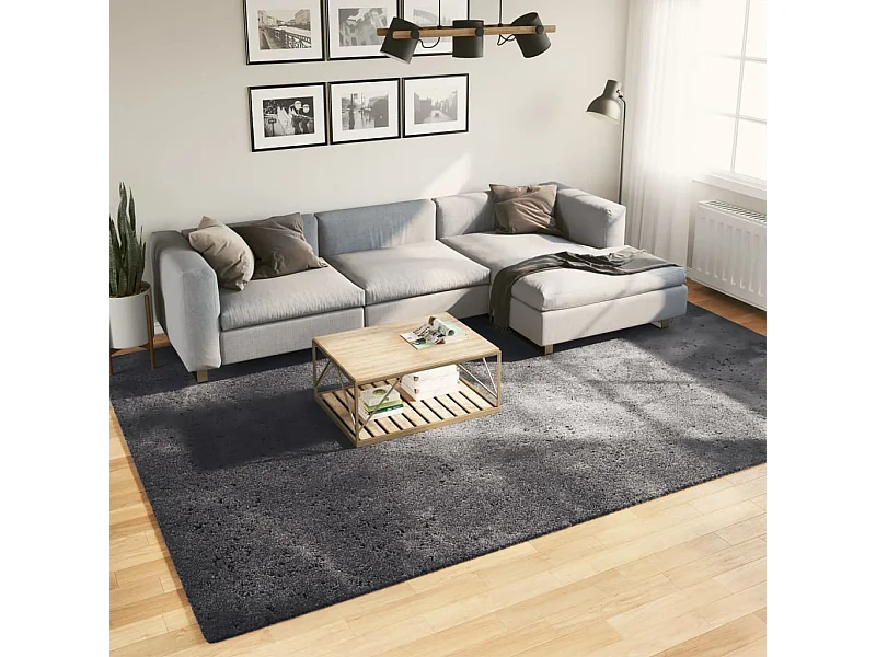 Tapis HUARTE à poils courts doux lavable anthracite 240x340 cm