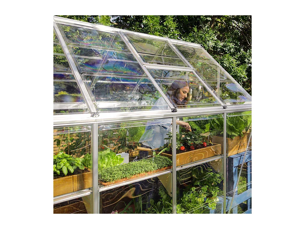 Serre de jardin en aluminium argent et polycarbonate Harmony 2.3m²