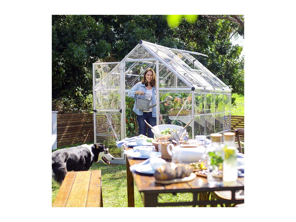Serre de jardin en aluminium argent et polycarbonate Harmony 4.6m²