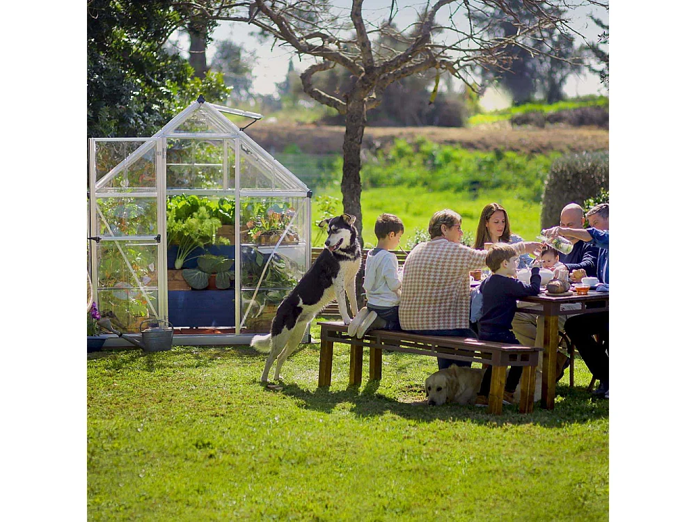 Serre de jardin en aluminium argent et polycarbonate Harmony 4.6m²