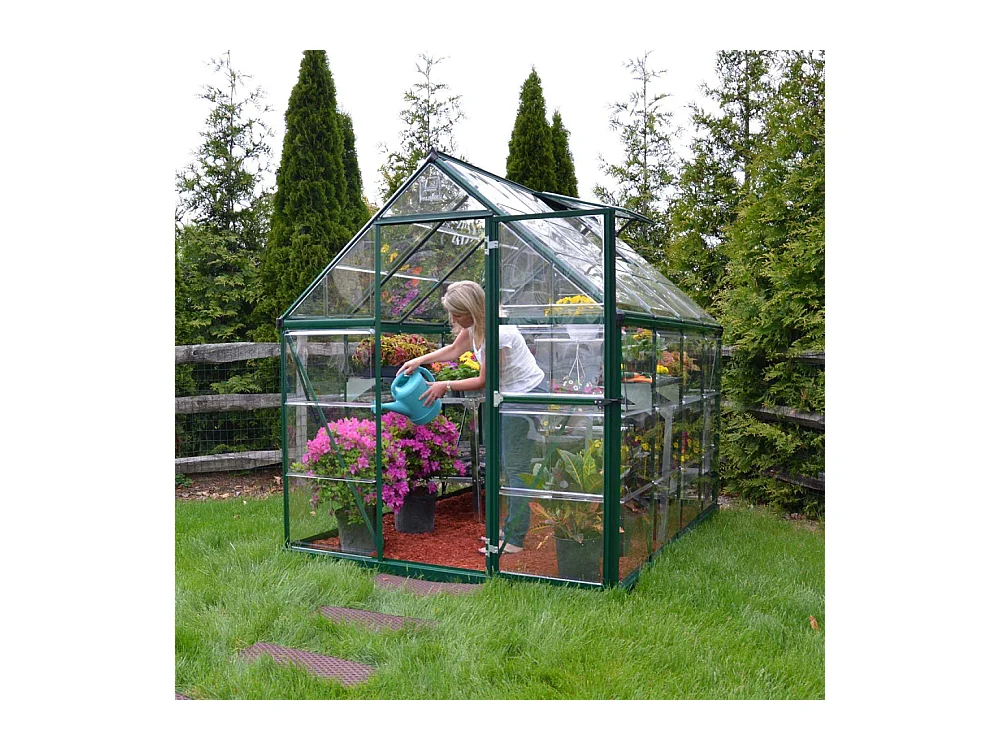 Serre de jardin en aluminium vert et polycarbonate Harmony 4.6m²