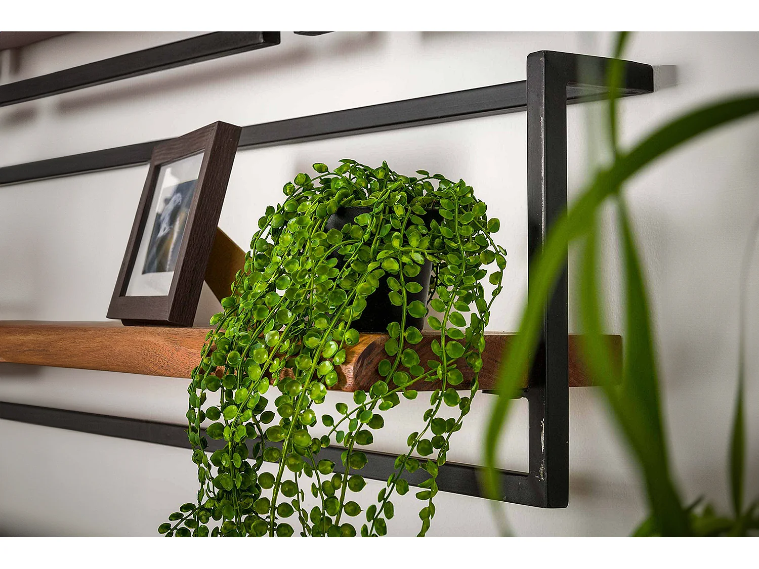 Étagère murale - Bois Bois - ERGEA 