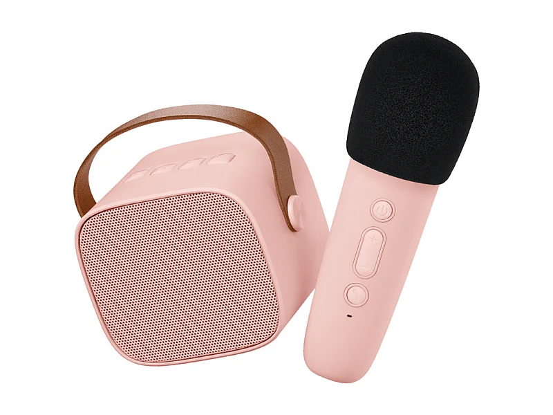 Enceinte Karaoké sans fil rechargeable Rose  Lalarma