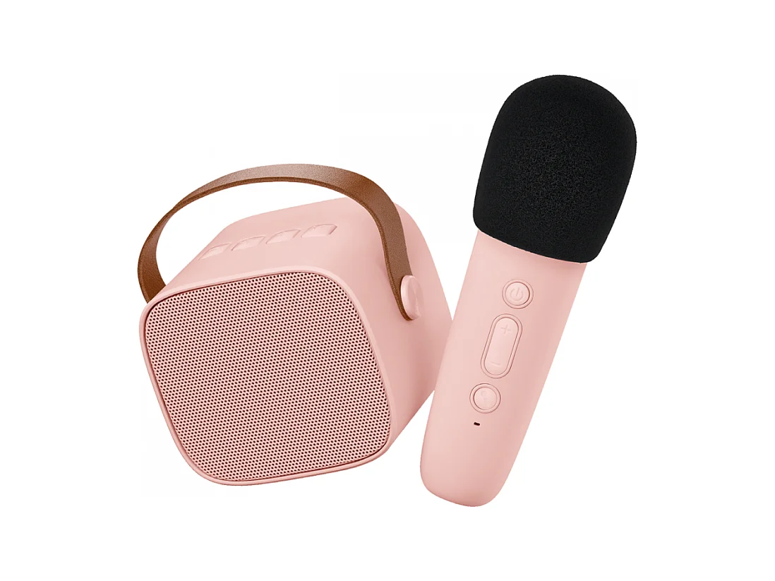 Enceinte Karaoké sans fil rechargeable Rose  Lalarma