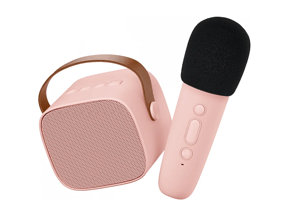 Enceinte Karaoké sans fil rechargeable Rose  Lalarma