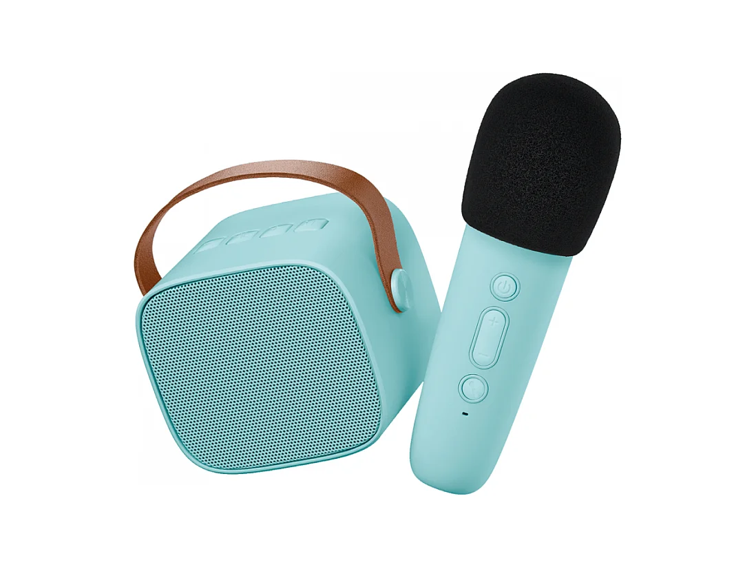 Enceinte Karaoké sans fil rechargeable Bleu  Lalarma