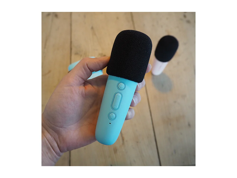 Enceinte Karaoké sans fil rechargeable Bleu  Lalarma