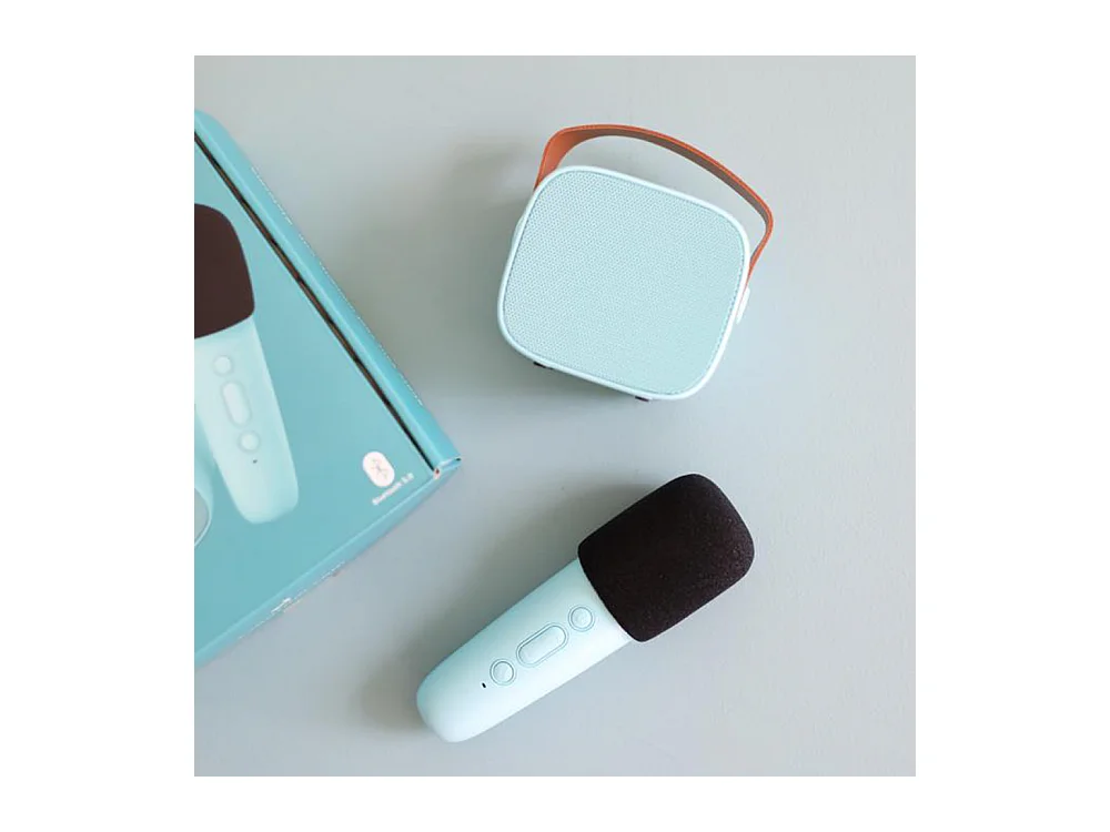 Enceinte Karaoké sans fil rechargeable Bleu  Lalarma