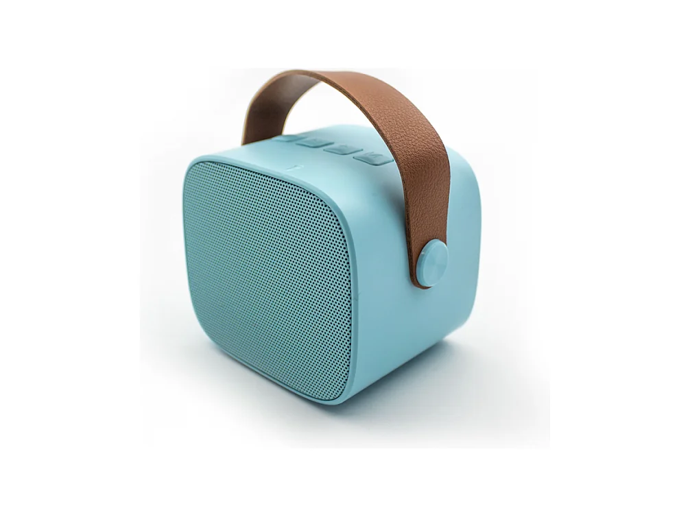 Enceinte Karaoké sans fil rechargeable Bleu  Lalarma
