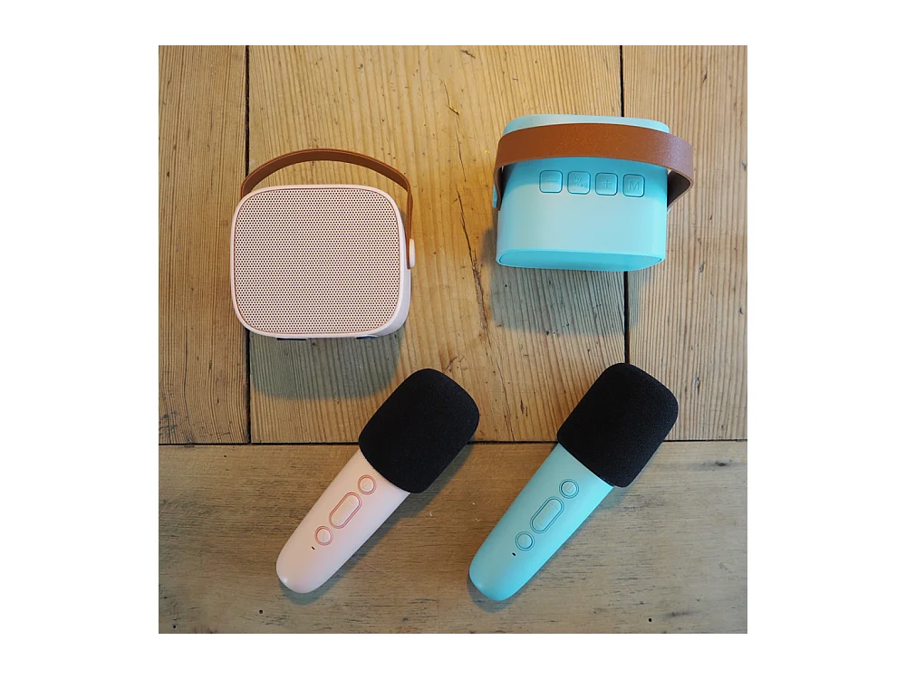 Enceinte Karaoké sans fil rechargeable Bleu  Lalarma