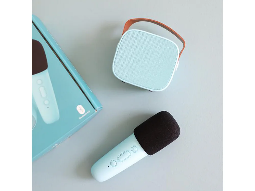 Enceinte Karaoké sans fil rechargeable Bleu  Lalarma