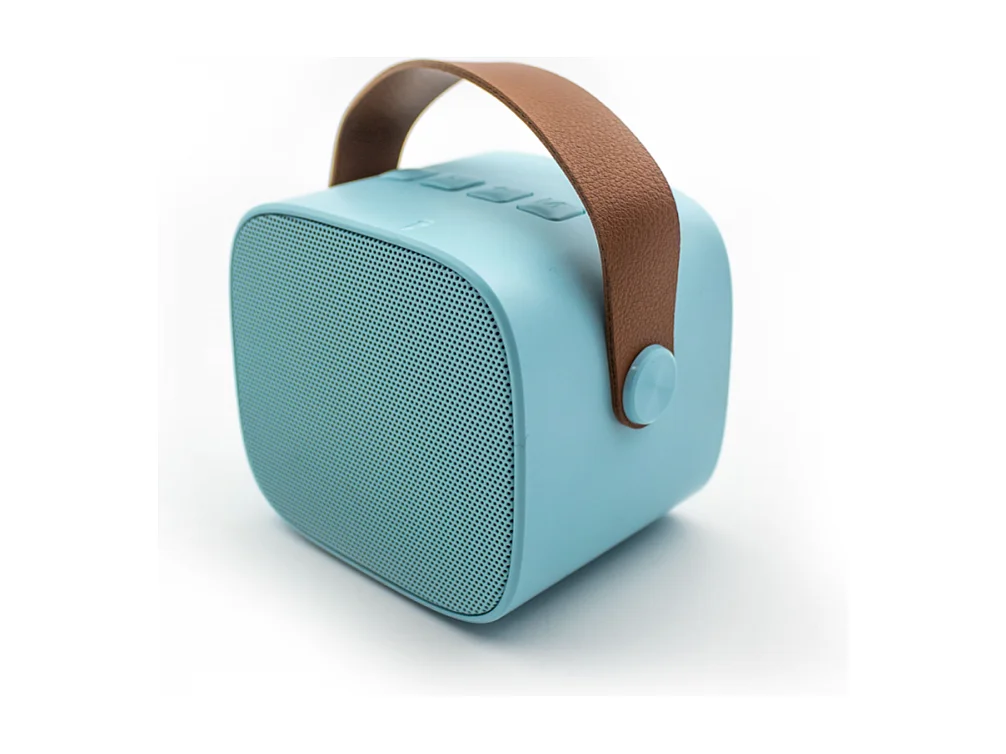 Enceinte Karaoké sans fil rechargeable Bleu  Lalarma