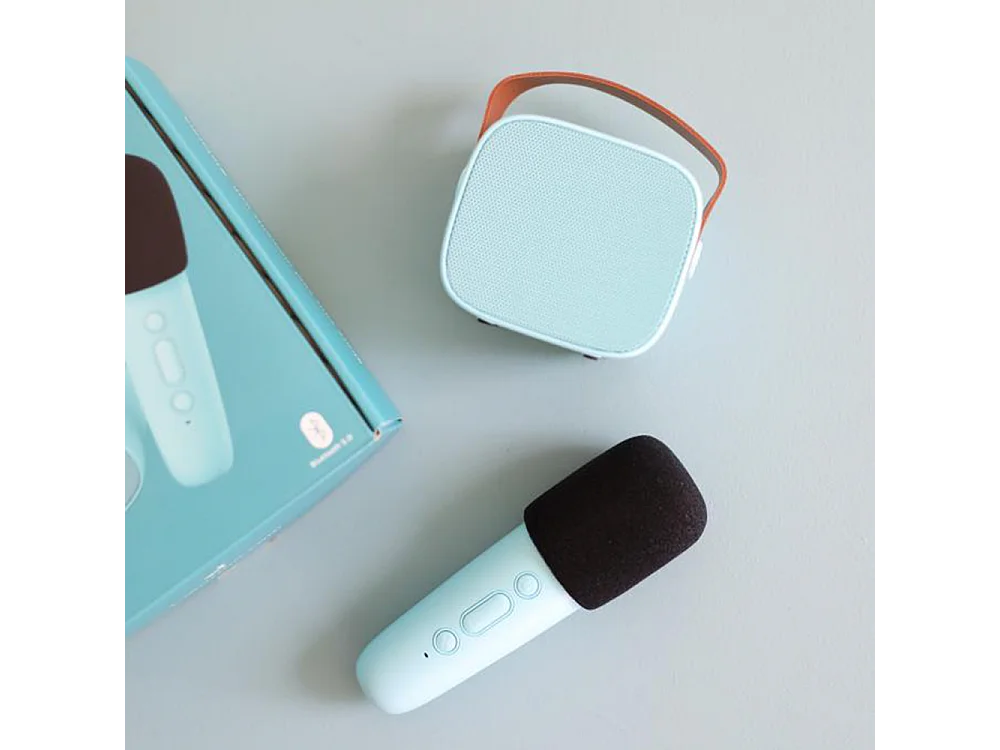 Enceinte Karaoké sans fil rechargeable Bleu  Lalarma