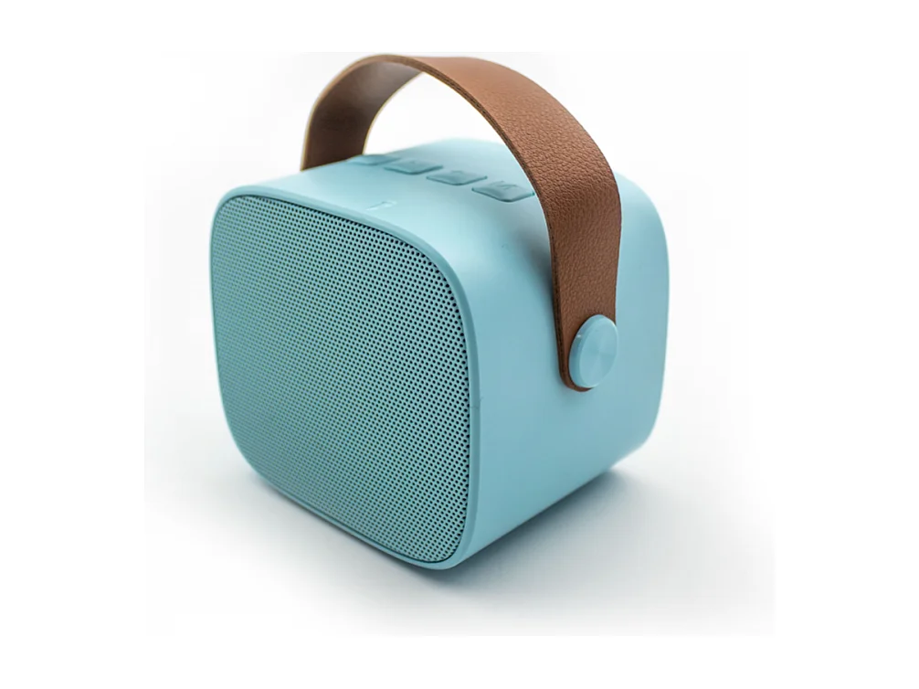 Enceinte Karaoké sans fil rechargeable Bleu  Lalarma