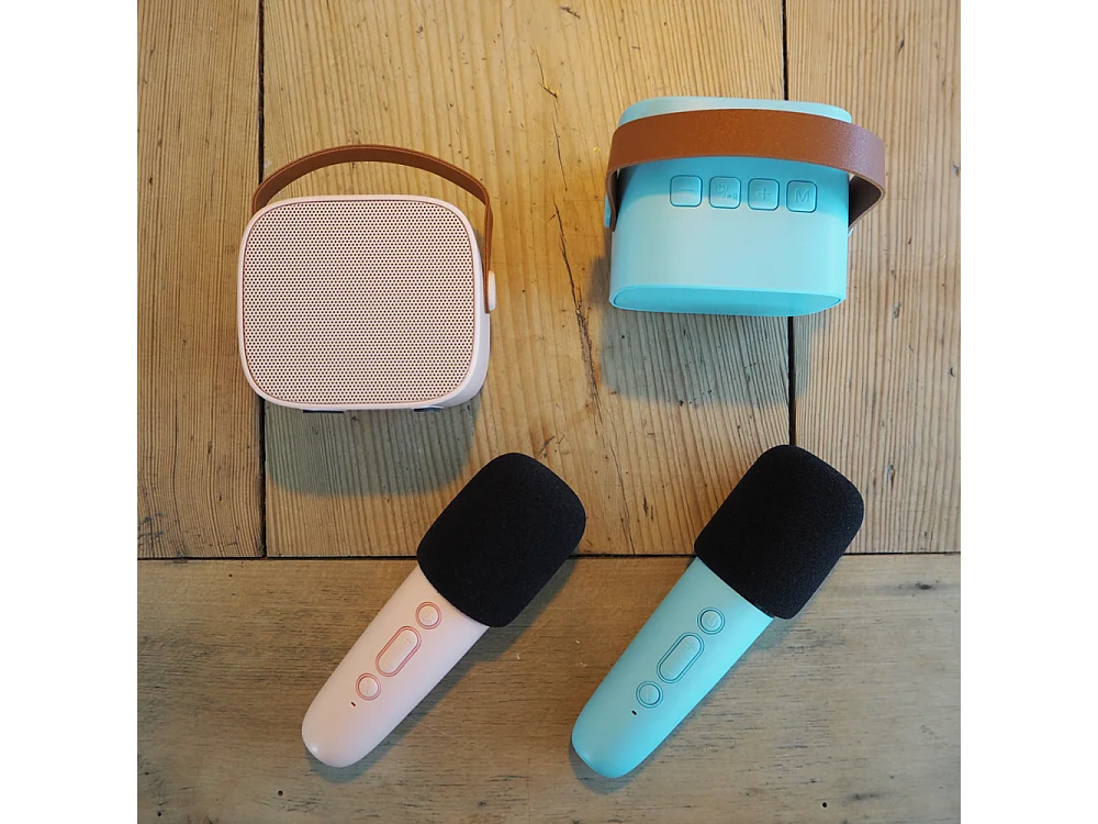 Enceinte Karaoké sans fil rechargeable Bleu  Lalarma