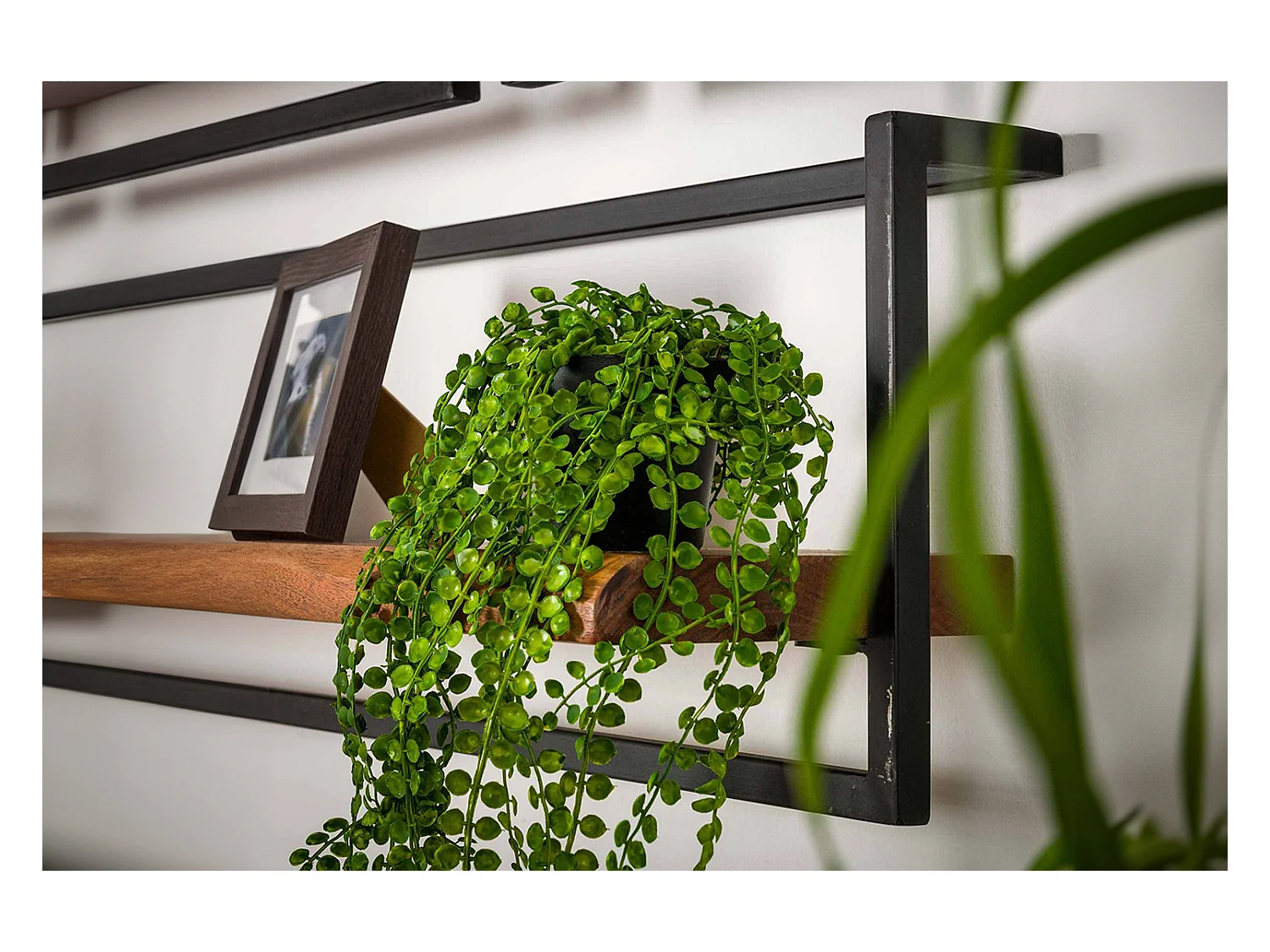 Wandregal - Holz Holz - ERGEA 