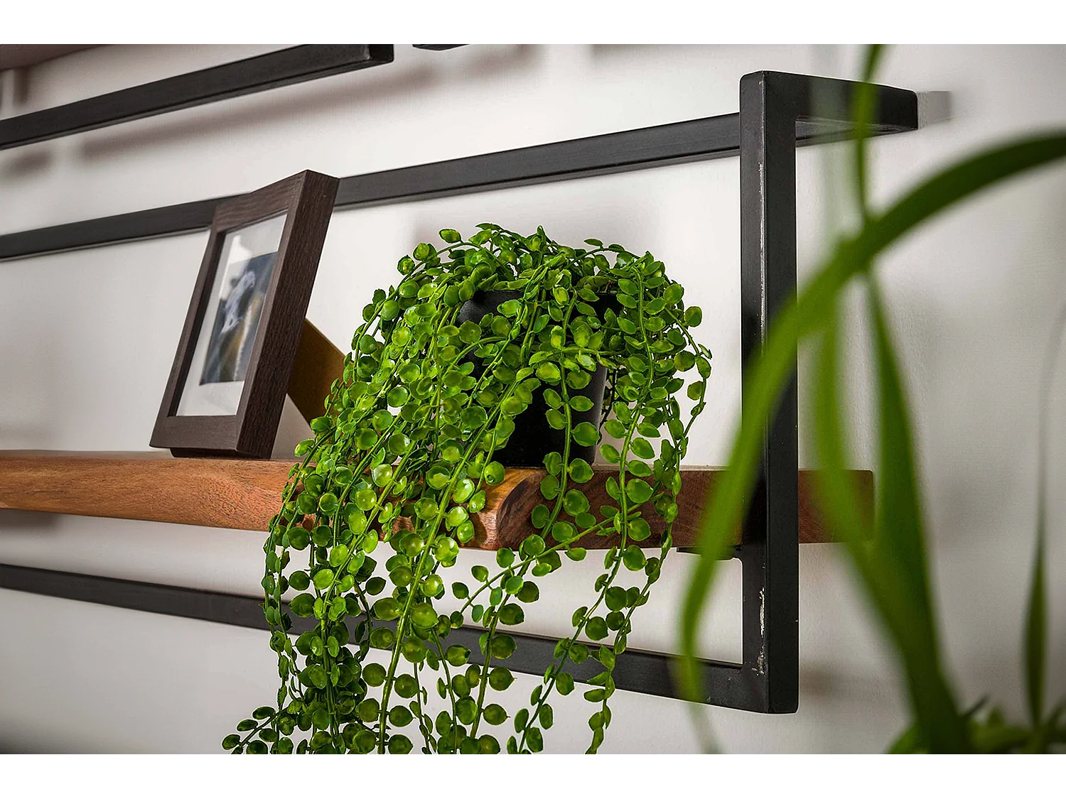 Étagère murale - Bois Bois - ERGEA 