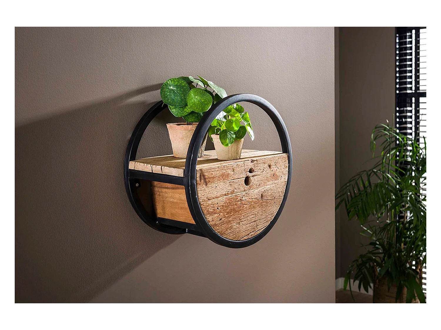 Wandregal - Holz Holz - RADEL