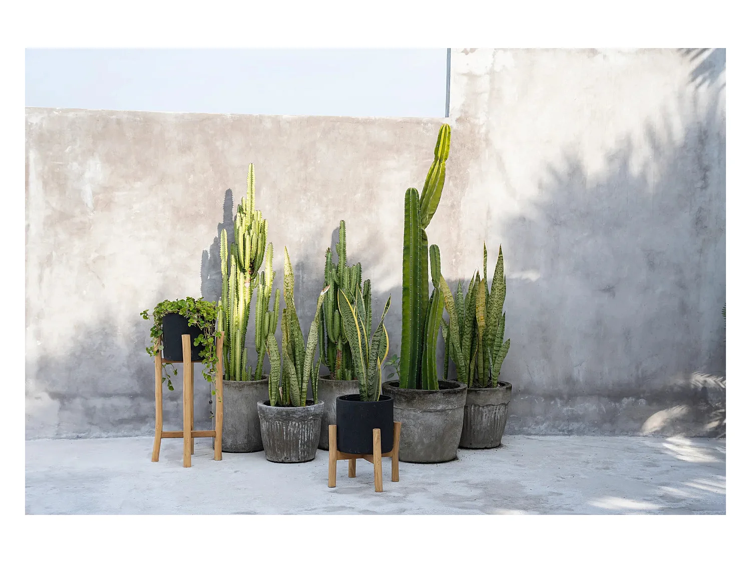 La Jardinière Charcoal Bas - Noir Naturel - S