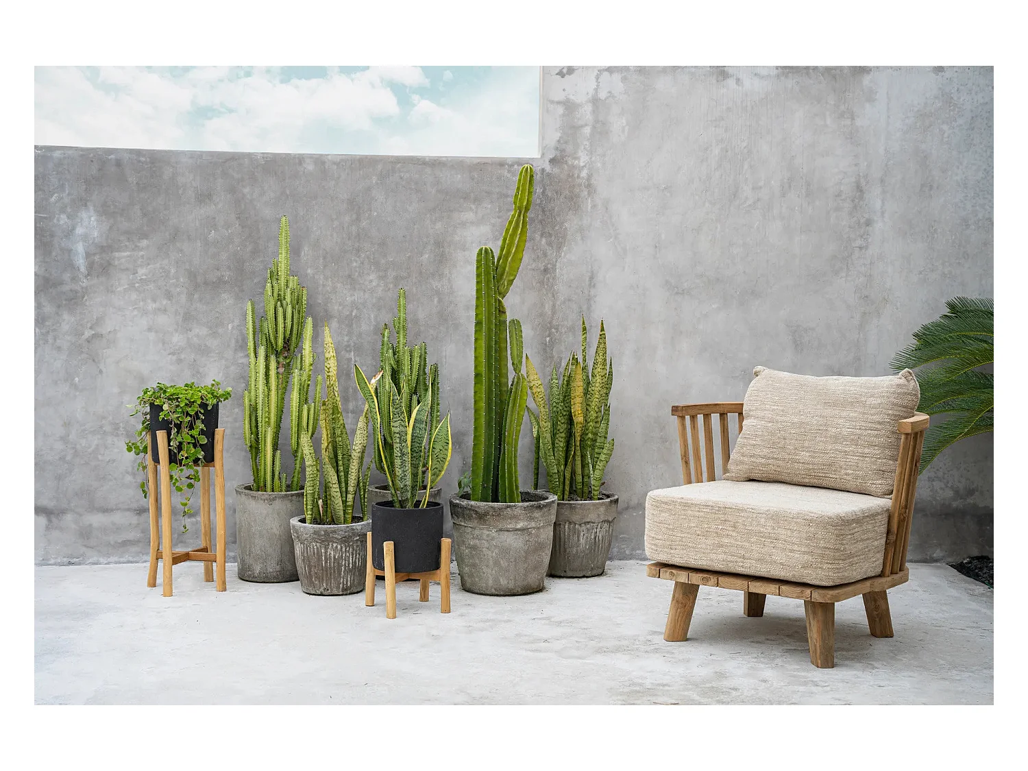 La Jardinière Charcoal Bas - Noir Naturel - S