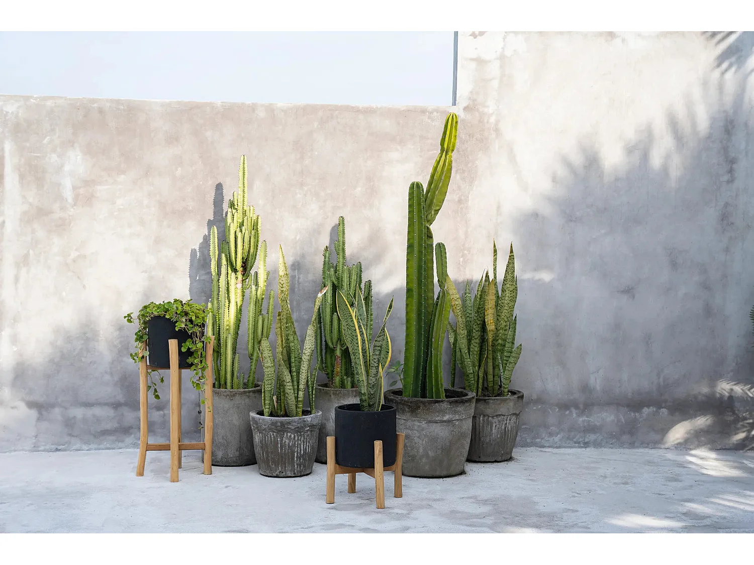 La Jardinière Charcoal Bas - Noir Naturel - S