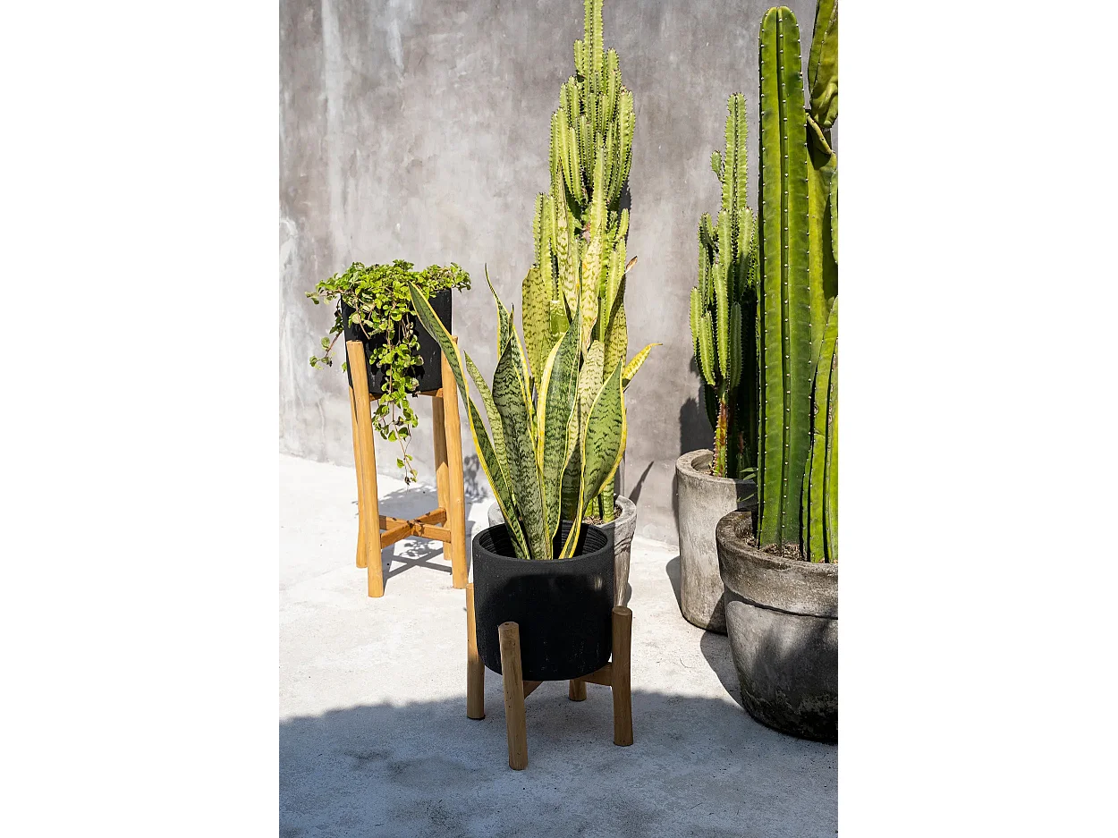 La Jardinière Charcoal Bas - Noir Naturel - S