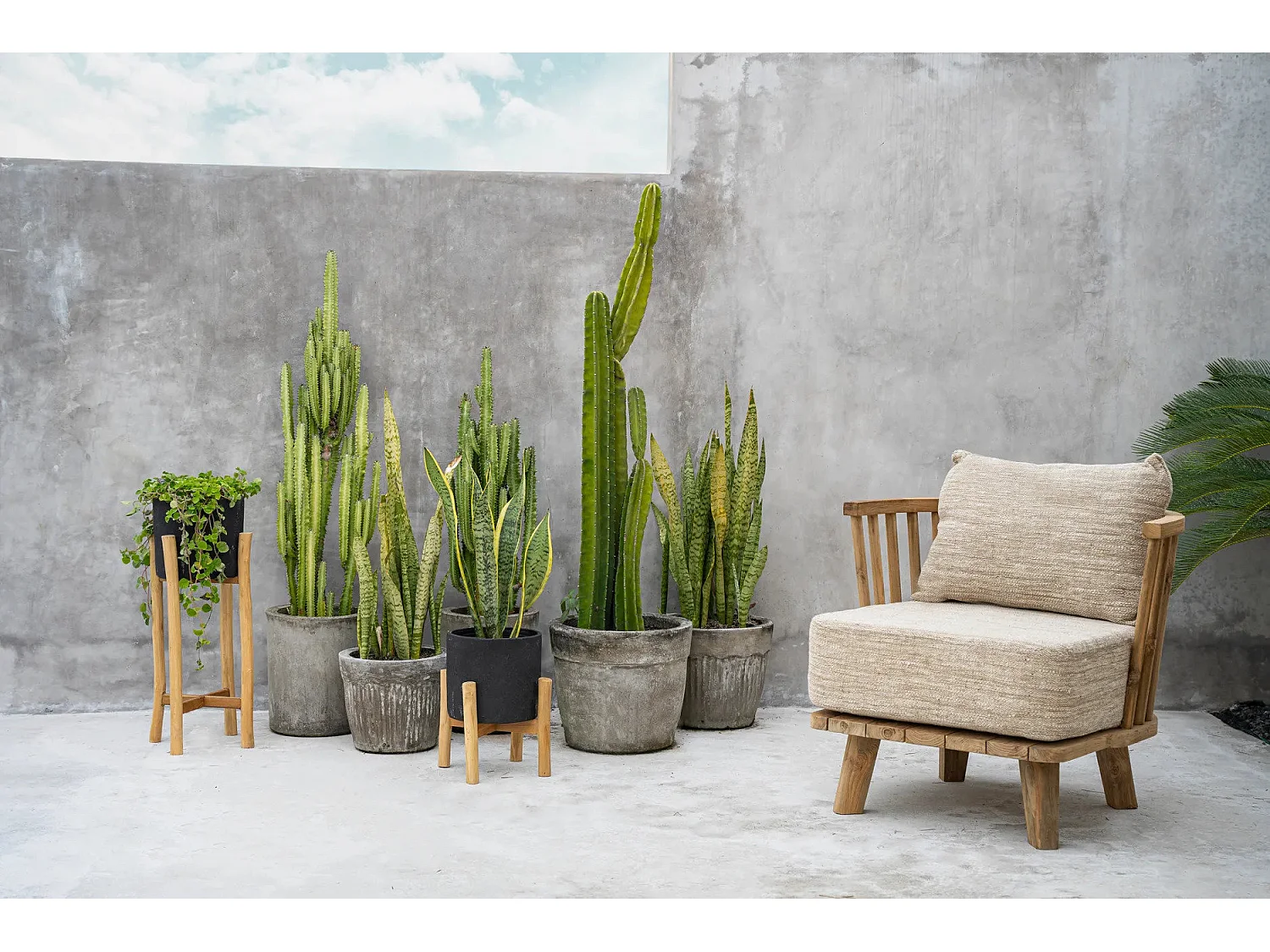 La Jardinière Charcoal Bas - Noir Naturel - S