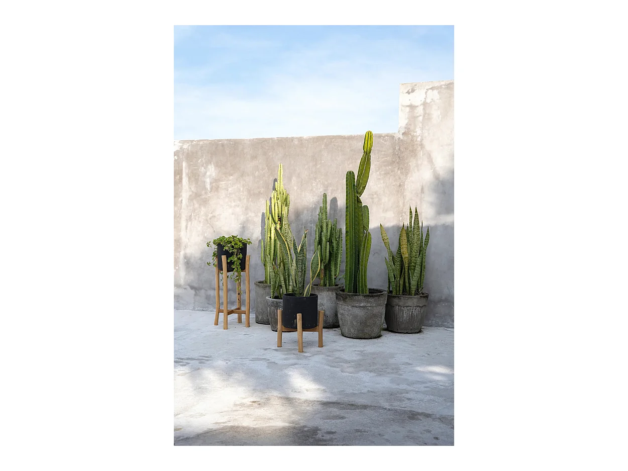 La Jardinera Carbón Baja - Negro Natural - S