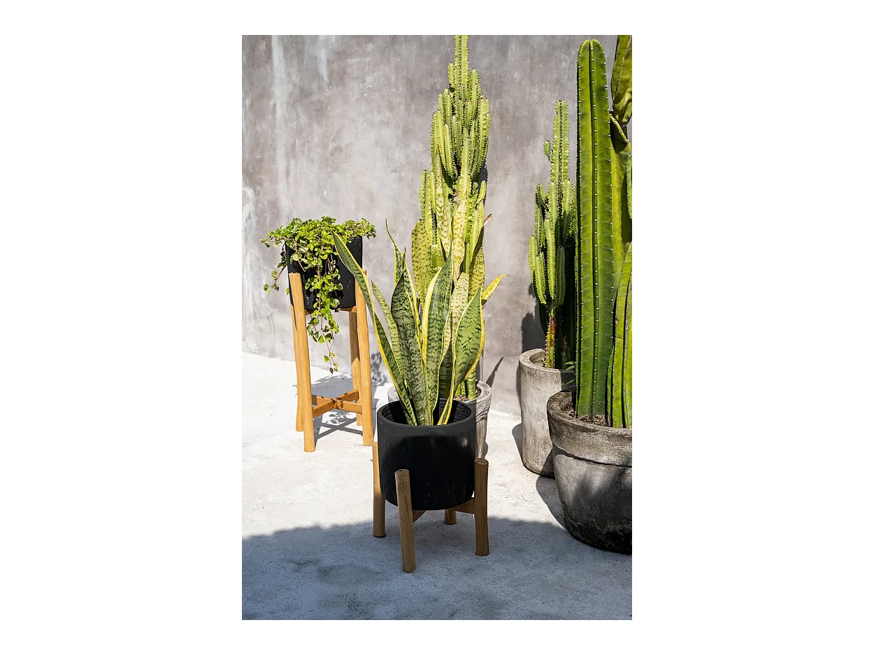 La Jardinera Carbón Baja - Negro Natural - S