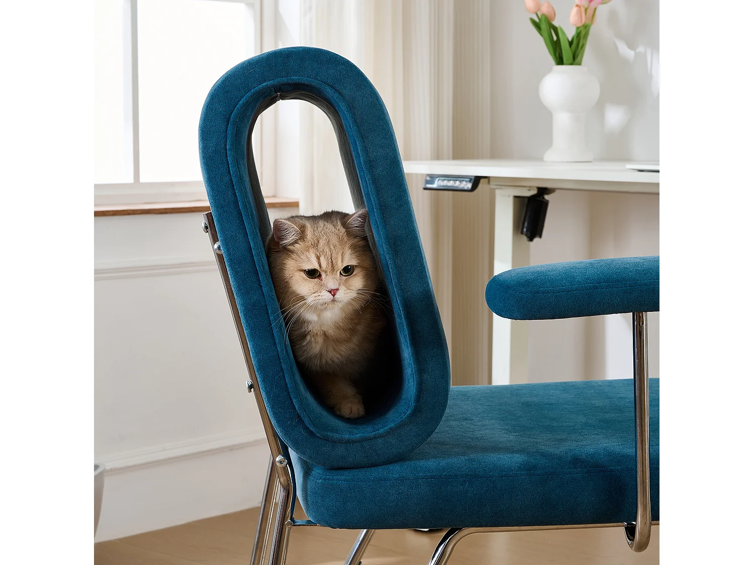 Sedia da ufficio con cuccia per gatti integrata, design ergonomico, tessuto, acciaio e legno, blu (77x70x89 cm)