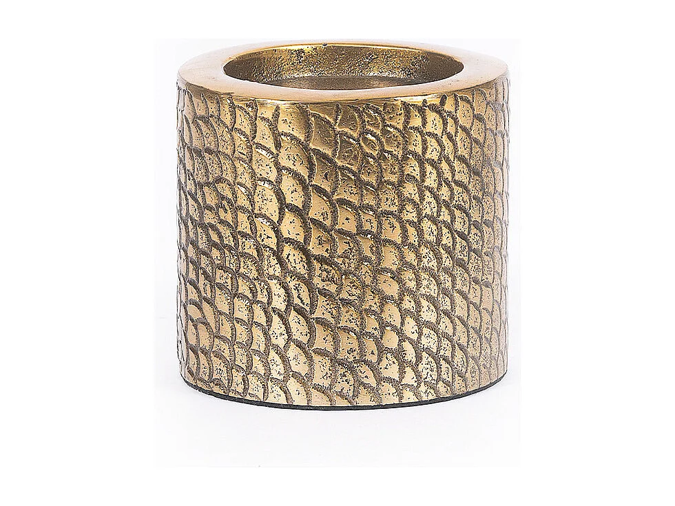 Bougeoir Croco - Laiton - M