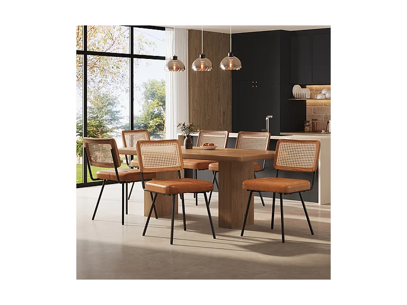 Lot de 6 chaises en cuir et métal - dossier en rotin - pieds réglables - 61x46x79cm