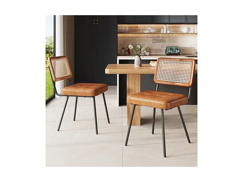 Lot de 2 chaises en cuir et métal - dossier en rotin - pieds réglables - 61x46x79cm