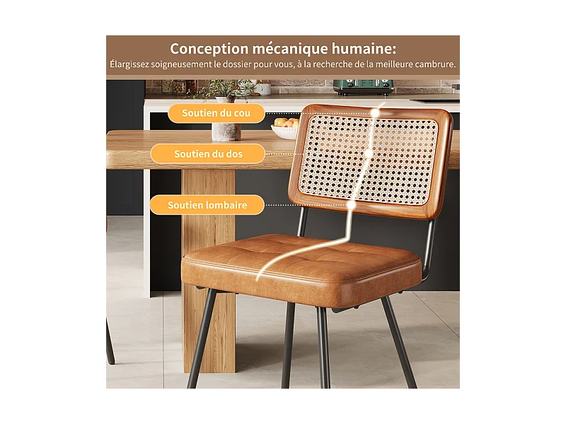 Lot de 2 chaises en cuir et métal - dossier en rotin - pieds réglables - 61x46x79cm