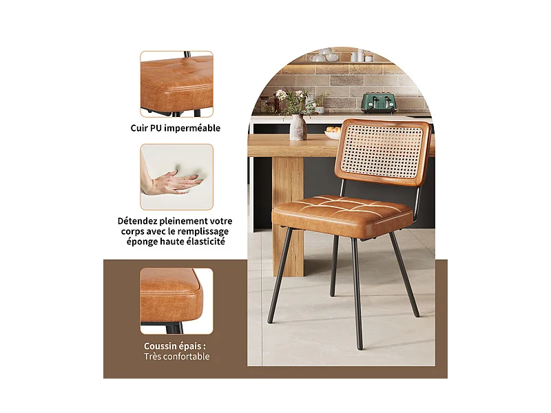 Lot de 2 chaises en cuir et métal - dossier en rotin - pieds réglables - 61x46x79cm