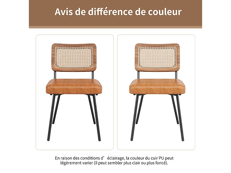 Set van 2 Leren metalen stoelen - rieten rugleuning - verstelbare poten - 61x46x79cm