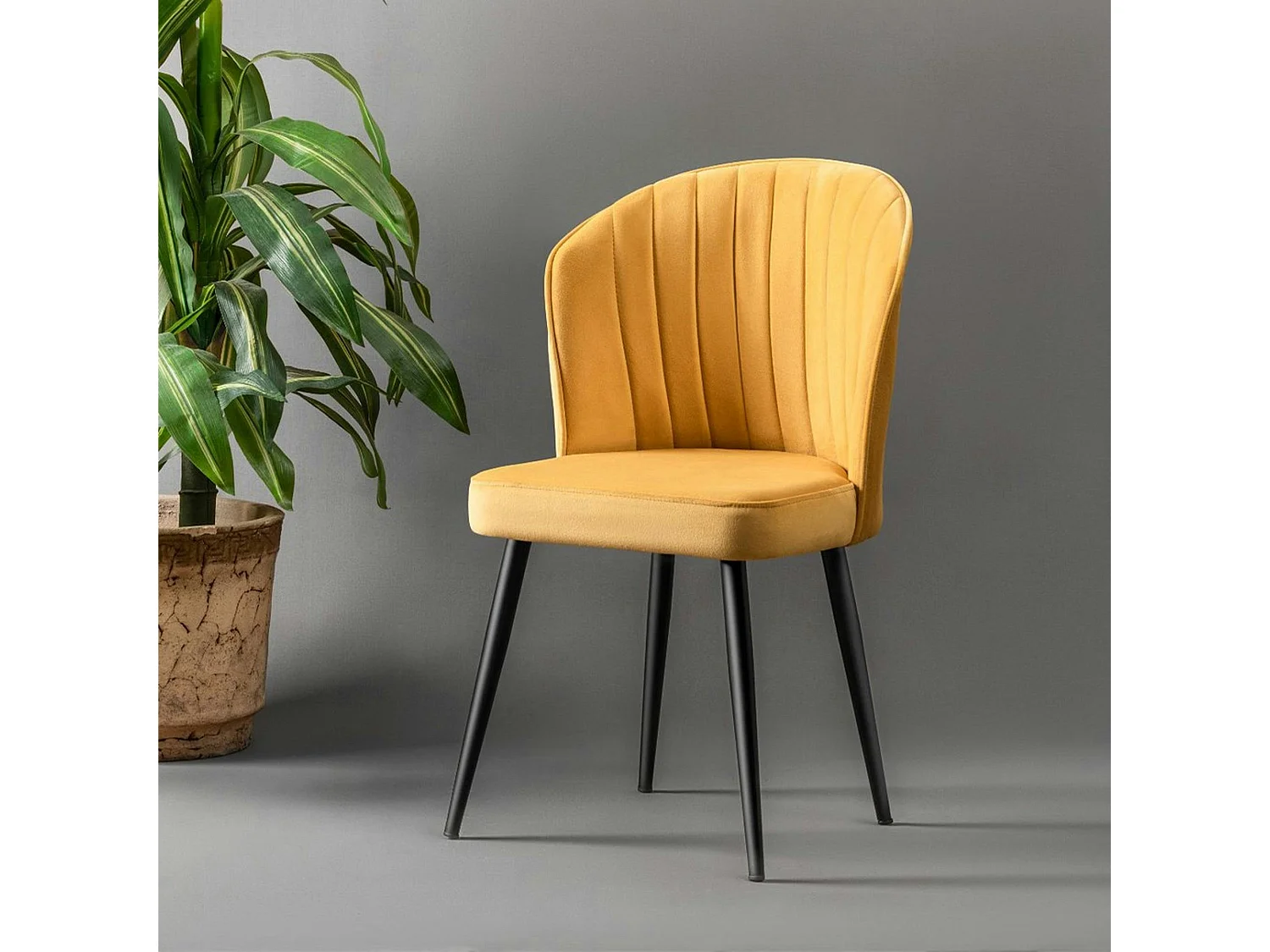 Chaise en velours jaune - dossier enveloppant ROSARIO t de 2)