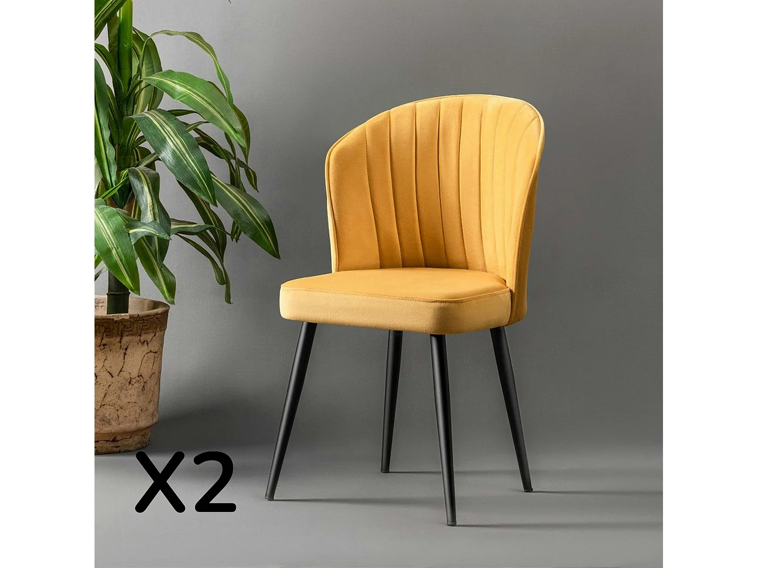 Chaise en velours jaune - dossier enveloppant ROSARIO t de 2)