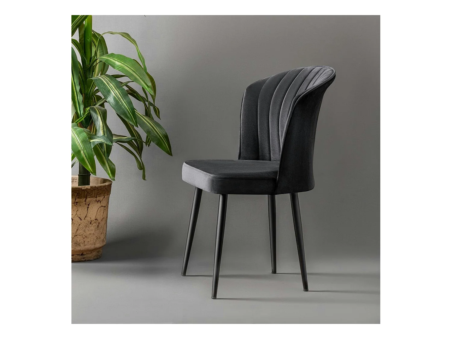 Chaise en velours noir - dossier enveloppant ROSARIO (Lot de 2)