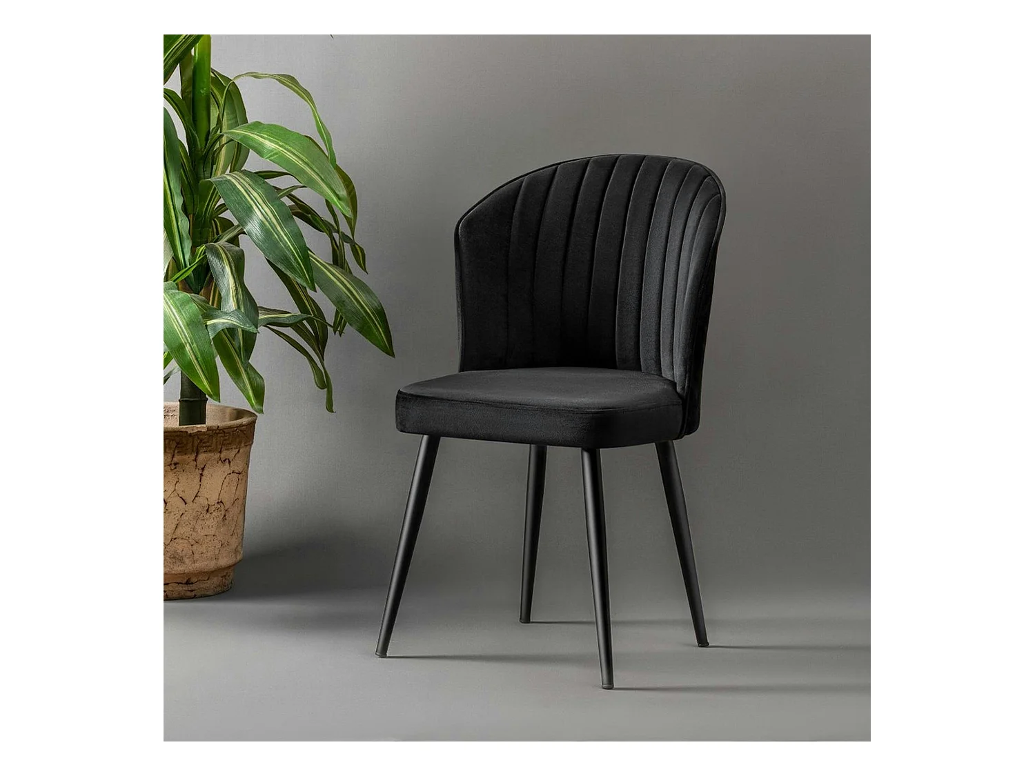 Chaise en velours noir - dossier enveloppant ROSARIO (Lot de 2)