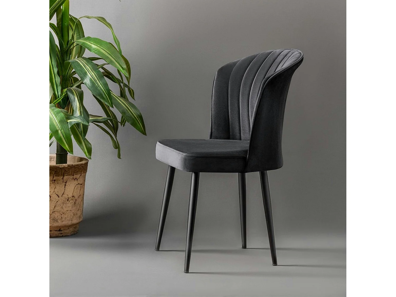 Chaise en velours noir - dossier enveloppant ROSARIO (Lot de 2)