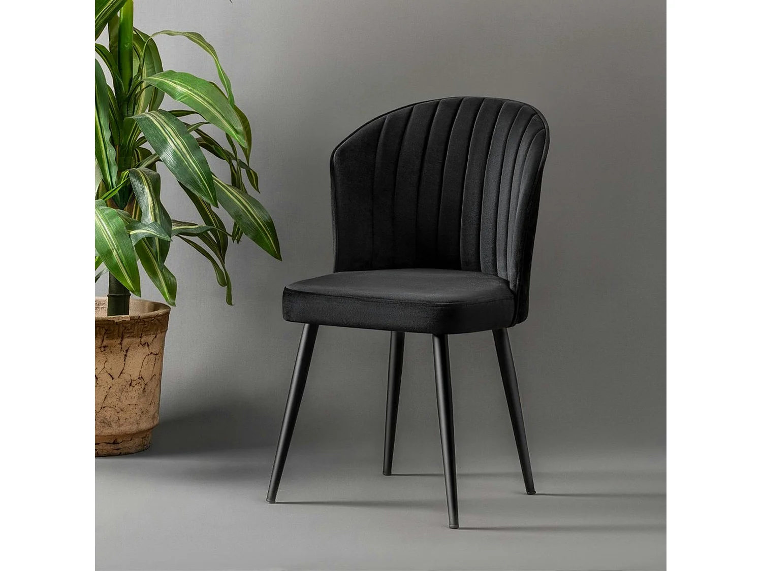 Chaise en velours noir - dossier enveloppant ROSARIO (Lot de 2)