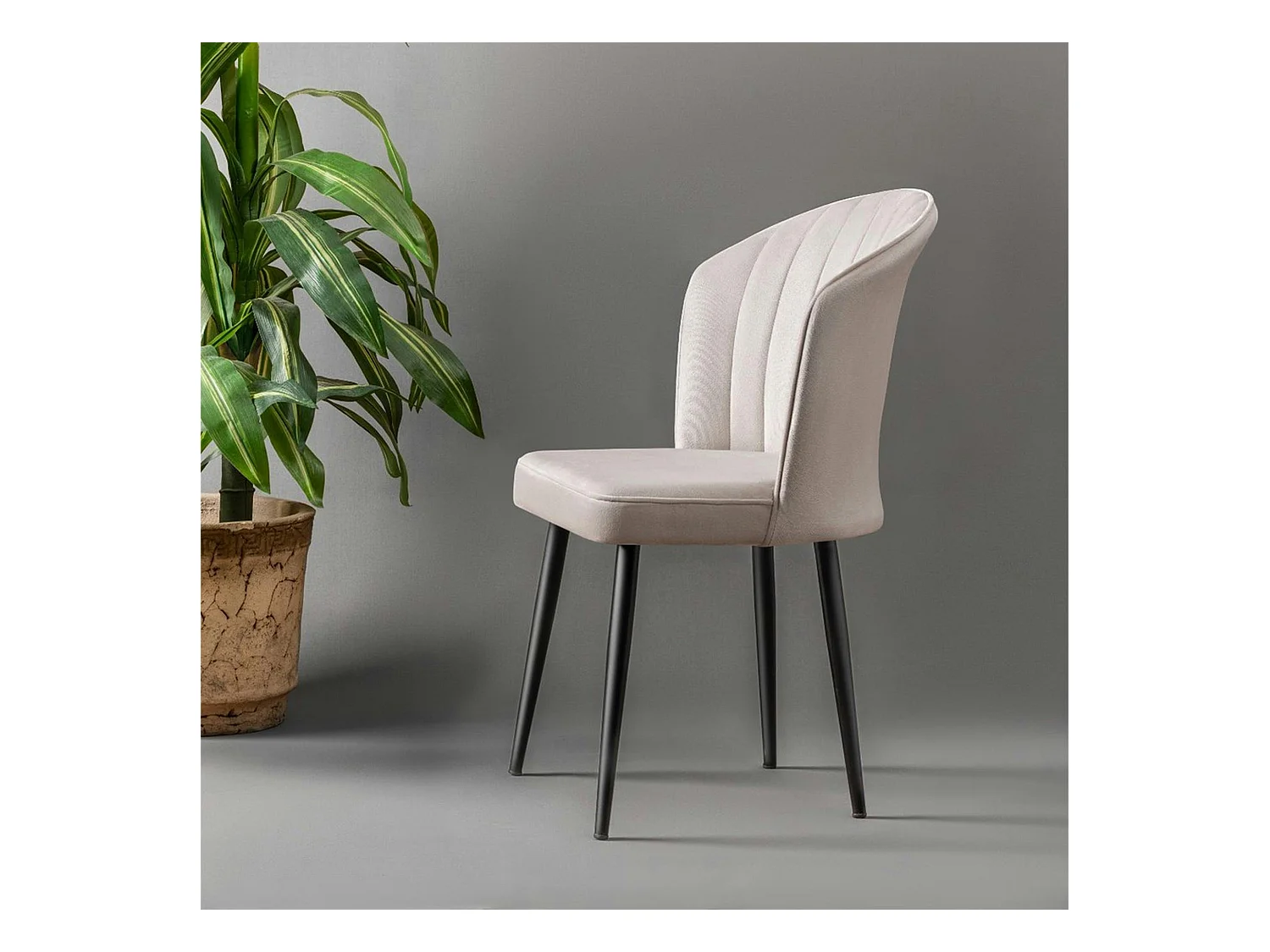 Chaise en velours écru - dossier enveloppant ROSARIO (Lot de 2)