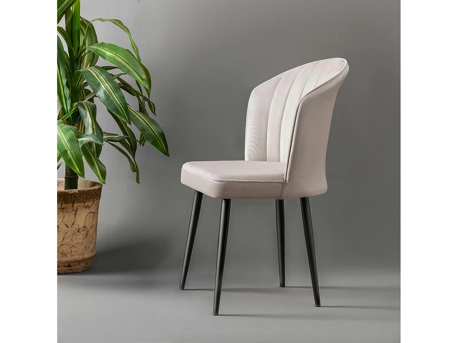 Chaise en velours écru - dossier enveloppant ROSARIO (Lot de 2)