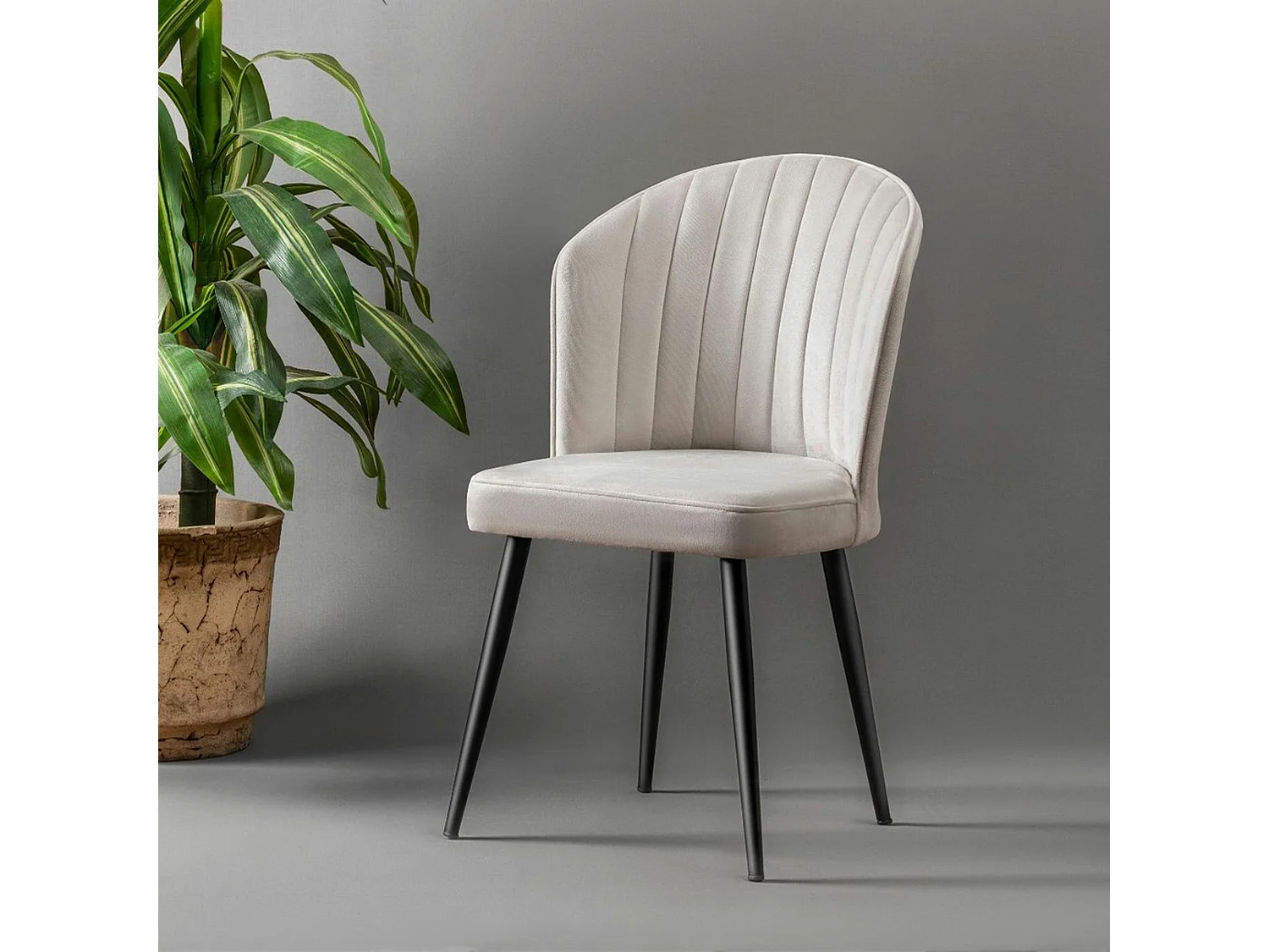 Chaise en velours écru - dossier enveloppant ROSARIO (Lot de 2)