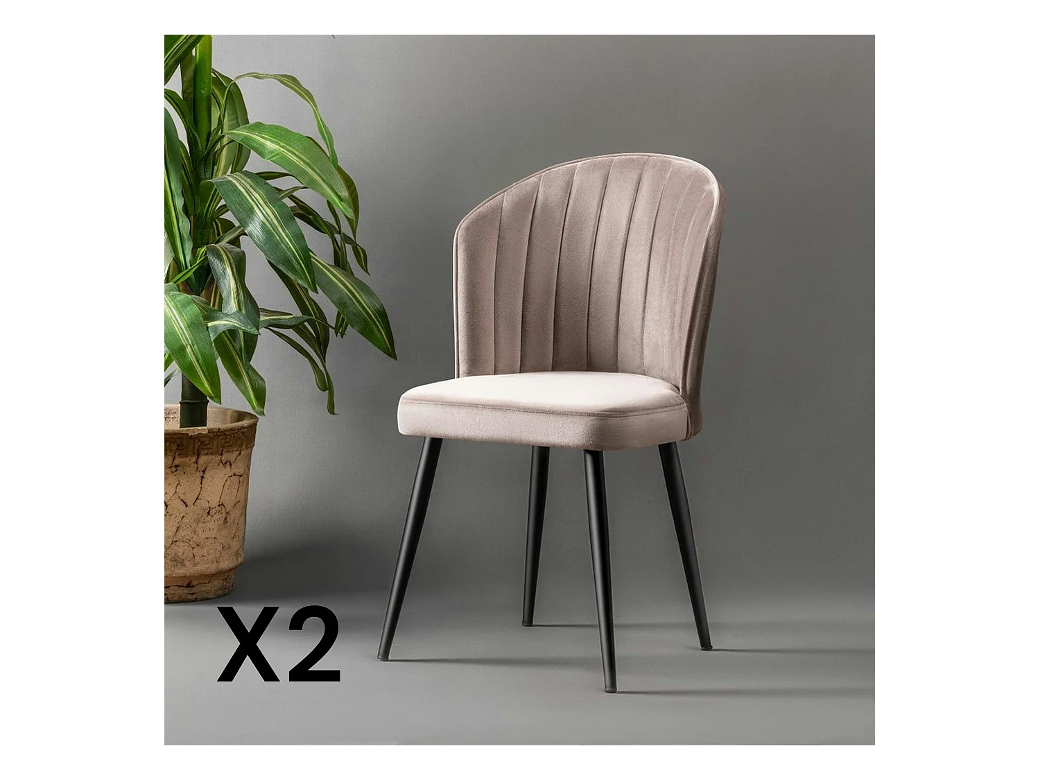 Chaise en velours beige - dossier enveloppant ROSARIO (Lot de 2)