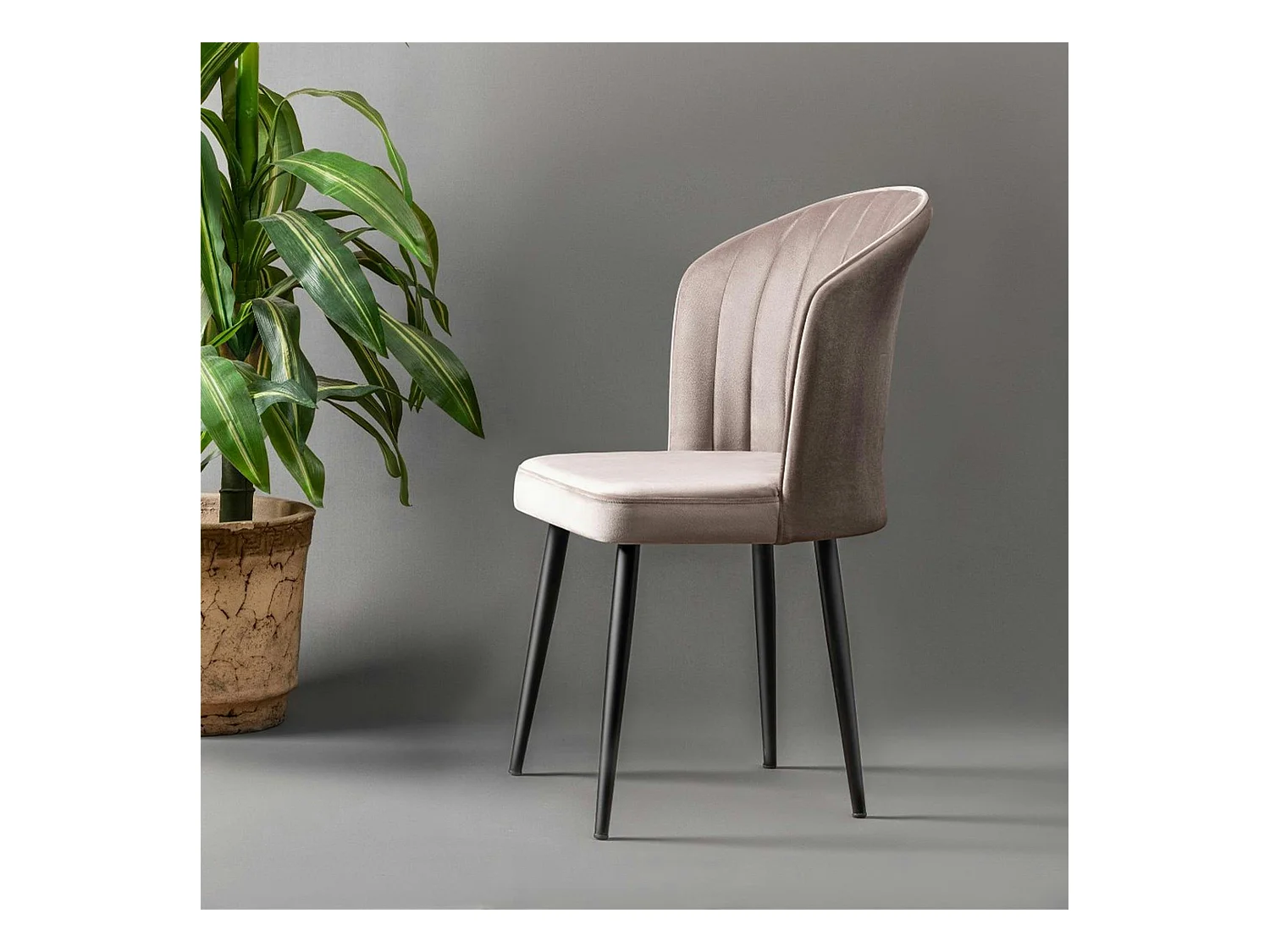 Chaise en velours beige - dossier enveloppant ROSARIO (Lot de 2)