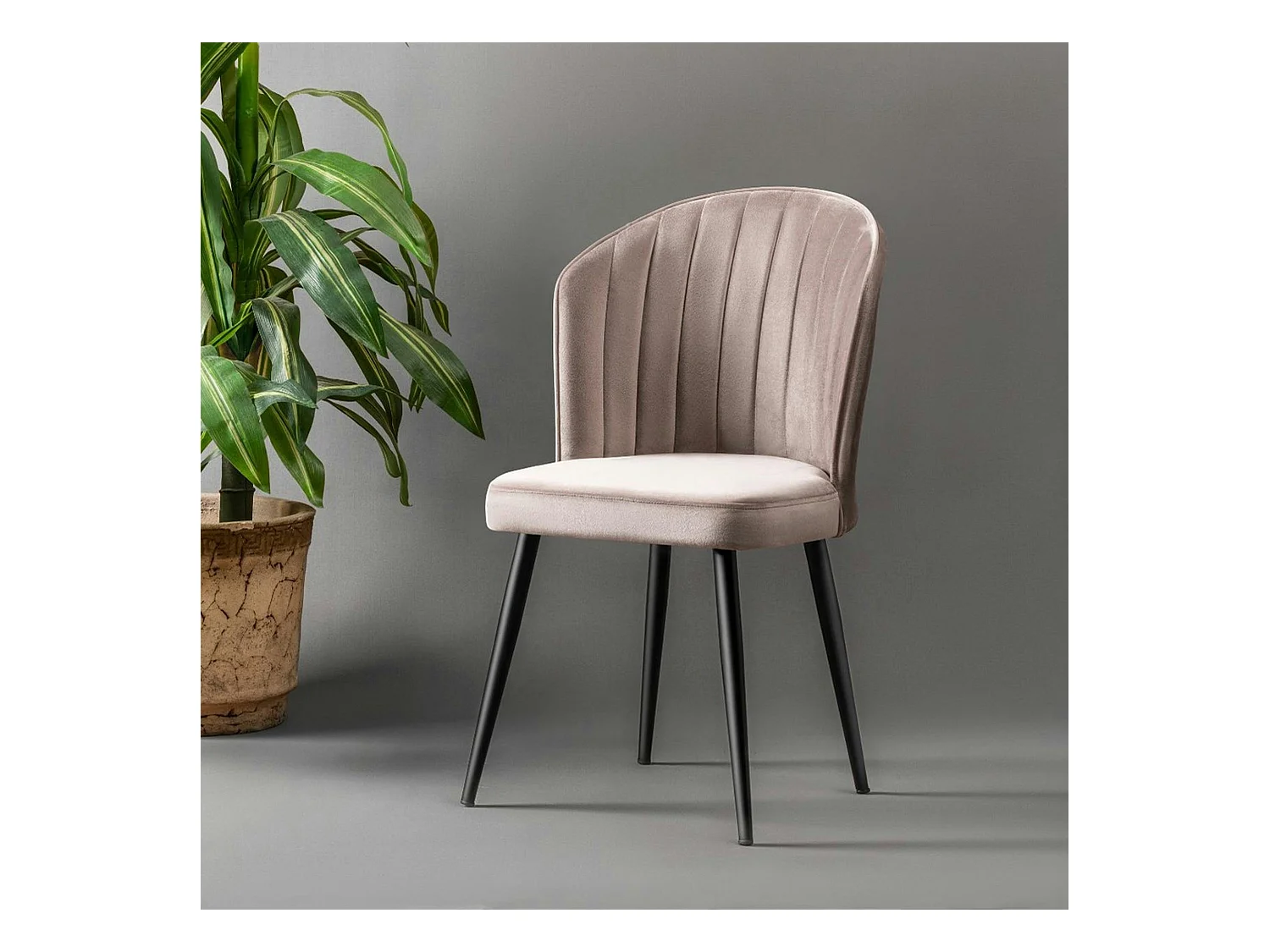 Chaise en velours beige - dossier enveloppant ROSARIO (Lot de 2)