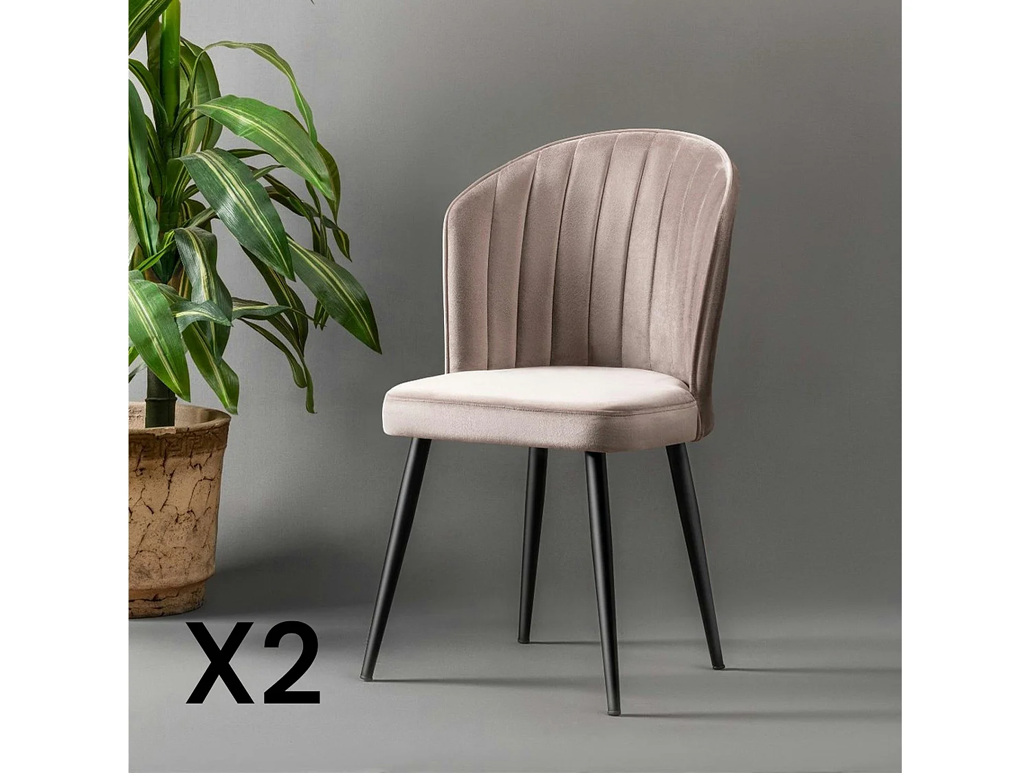 Chaise en velours beige - dossier enveloppant ROSARIO (Lot de 2)