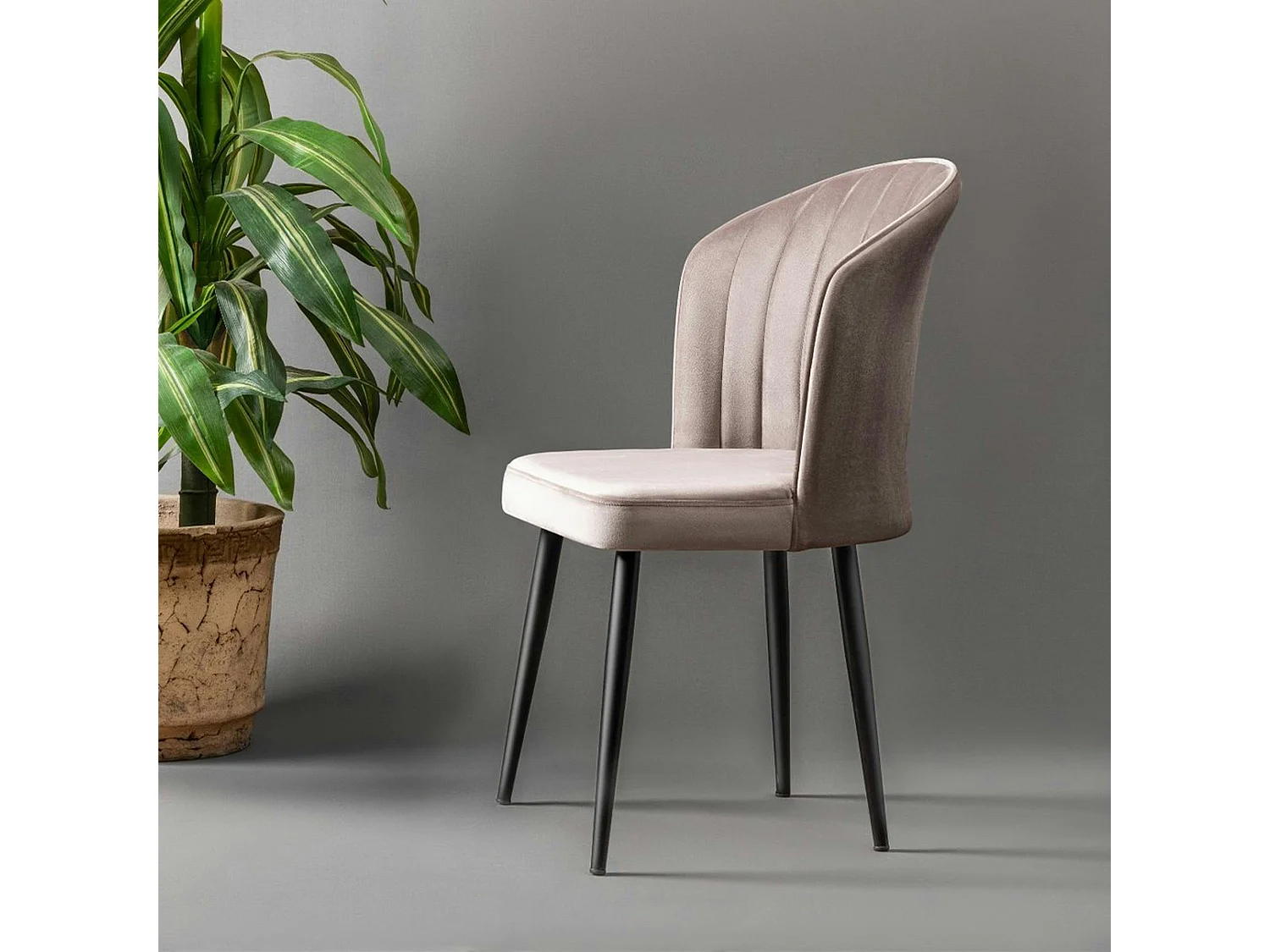 Chaise en velours beige - dossier enveloppant ROSARIO (Lot de 2)